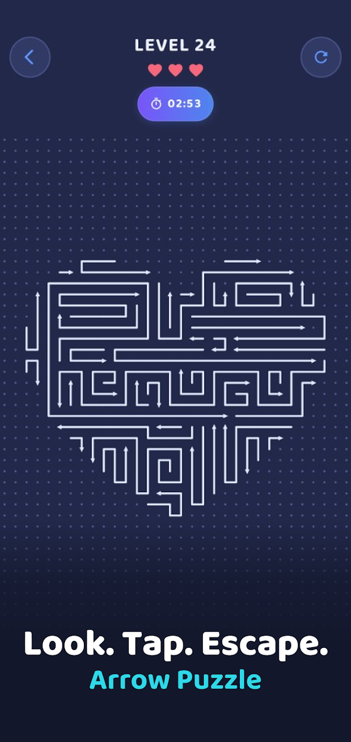 Arrow Puzzle screenshot