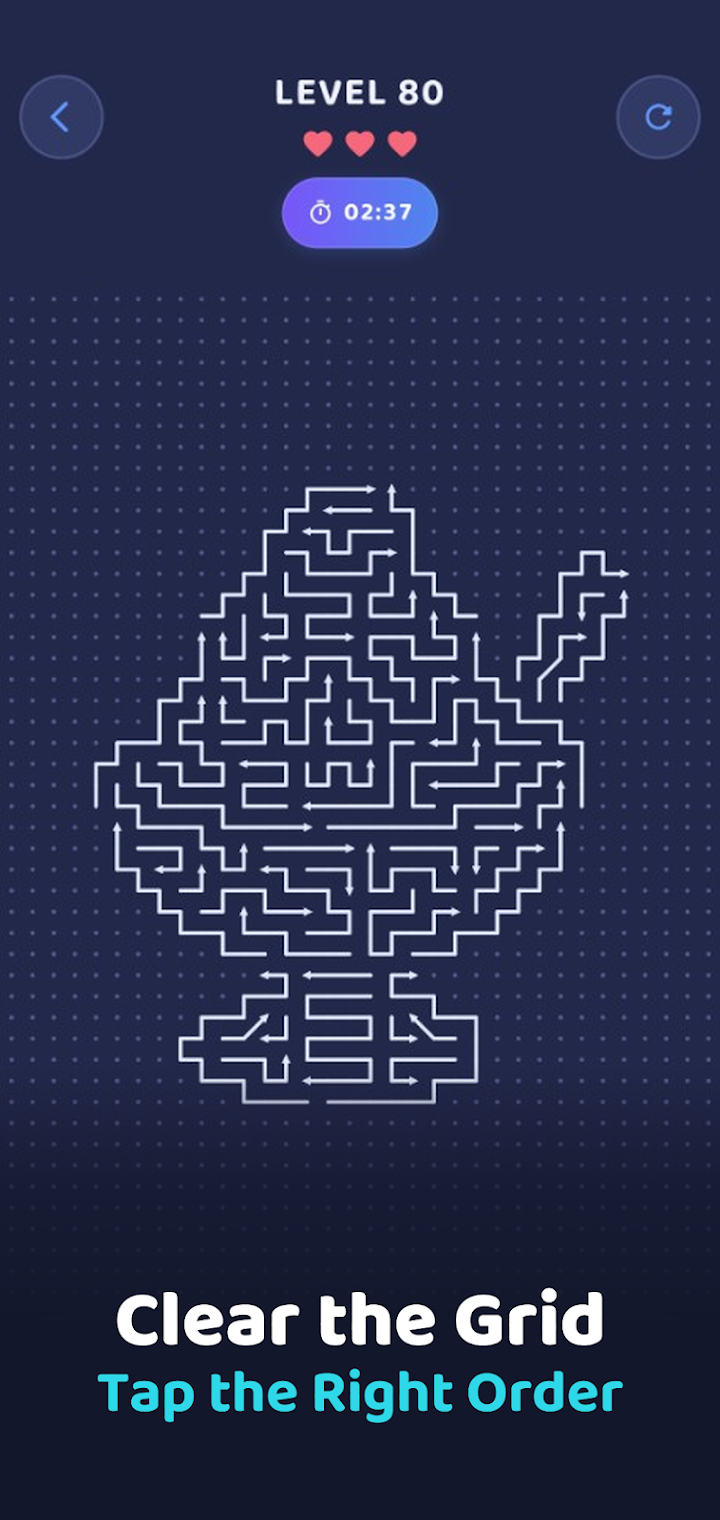 Arrow Puzzle screenshot