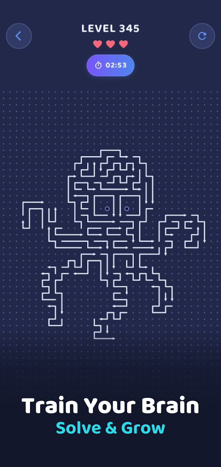Arrow Puzzle screenshot